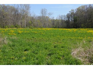 Property photo 93 - LAND AUCTION, 115+/- Acres offered in 3 Tracts in Parke County