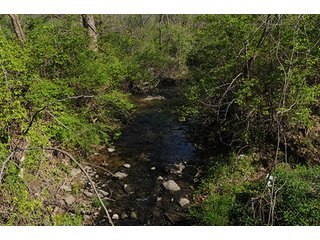 Property photo 94 - LAND AUCTION, 115+/- Acres offered in 3 Tracts in Parke County