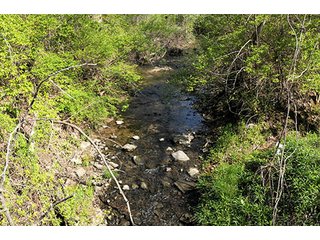 Property photo 95 - LAND AUCTION, 115+/- Acres offered in 3 Tracts in Parke County