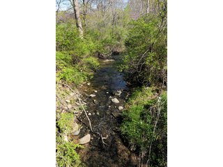 Property photo 96 - LAND AUCTION, 115+/- Acres offered in 3 Tracts in Parke County