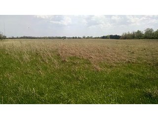 Property photo 35 - Real Estate Auction in Central Ohio, 181+/- Acres offered in 4 Tracts in Union County