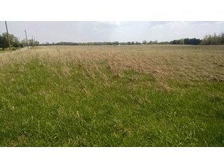 Property photo 36 - Real Estate Auction in Central Ohio, 181+/- Acres offered in 4 Tracts in Union County
