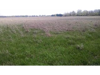 Property photo 37 - Real Estate Auction in Central Ohio, 181+/- Acres offered in 4 Tracts in Union County