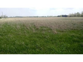 Property photo 38 - Real Estate Auction in Central Ohio, 181+/- Acres offered in 4 Tracts in Union County