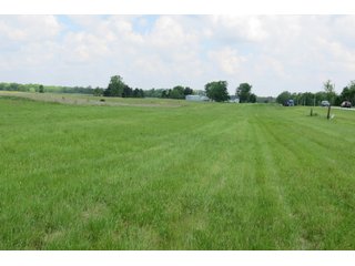 Tract 4 - Real Estate Auction in Central Ohio, 181+/- Acres offered in 4 Tracts in Union County