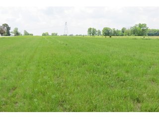 Tract 4 - Real Estate Auction in Central Ohio, 181+/- Acres offered in 4 Tracts in Union County