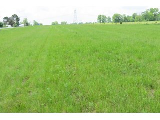 Tract 4 - Real Estate Auction in Central Ohio, 181+/- Acres offered in 4 Tracts in Union County