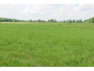 Tract 4 - Real Estate Auction in Central Ohio, 181+/- Acres offered in 4 Tracts in Union County
