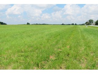 Tract 4 - Real Estate Auction in Central Ohio, 181+/- Acres offered in 4 Tracts in Union County