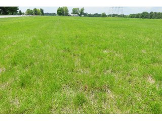 Tract 4 - Real Estate Auction in Central Ohio, 181+/- Acres offered in 4 Tracts in Union County