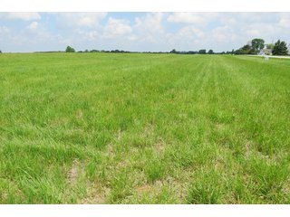 Tract 4 - Real Estate Auction in Central Ohio, 181+/- Acres offered in 4 Tracts in Union County