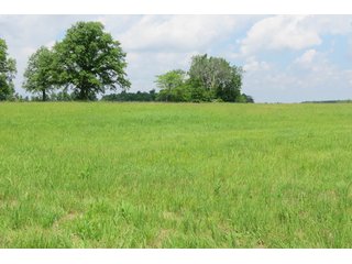 Tract 4 - Real Estate Auction in Central Ohio, 181+/- Acres offered in 4 Tracts in Union County