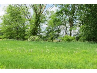 Tract 4 - Real Estate Auction in Central Ohio, 181+/- Acres offered in 4 Tracts in Union County