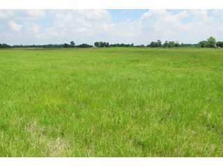 Tract 3 - Real Estate Auction in Central Ohio, 181+/- Acres offered in 4 Tracts in Union County