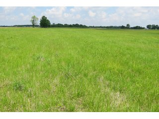 Tract 3 - Real Estate Auction in Central Ohio, 181+/- Acres offered in 4 Tracts in Union County