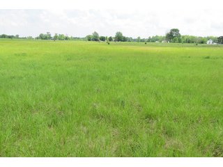 Tract 3 - Real Estate Auction in Central Ohio, 181+/- Acres offered in 4 Tracts in Union County