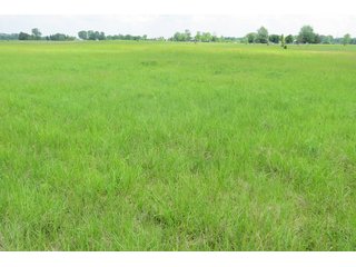 Tract 3 - Real Estate Auction in Central Ohio, 181+/- Acres offered in 4 Tracts in Union County