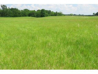 Tract 2 - Real Estate Auction in Central Ohio, 181+/- Acres offered in 4 Tracts in Union County