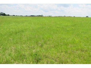 Tract 2 - Real Estate Auction in Central Ohio, 181+/- Acres offered in 4 Tracts in Union County