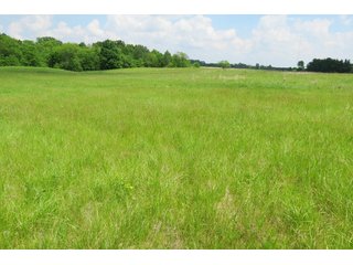Tract 2 - Real Estate Auction in Central Ohio, 181+/- Acres offered in 4 Tracts in Union County