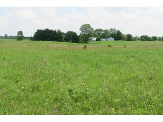 Tract 2 - Real Estate Auction in Central Ohio, 181+/- Acres offered in 4 Tracts in Union County
