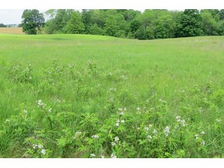 Tract 2 - Real Estate Auction in Central Ohio, 181+/- Acres offered in 4 Tracts in Union County