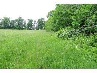 Tract 4 - Real Estate Auction in Central Ohio, 181+/- Acres offered in 4 Tracts in Union County