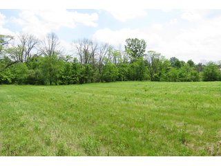 Tract 1 - Real Estate Auction in Central Ohio, 181+/- Acres offered in 4 Tracts in Union County