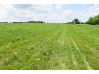 Tract 1 - Real Estate Auction in Central Ohio, 181+/- Acres offered in 4 Tracts in Union County