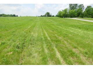 Tract 1 - Real Estate Auction in Central Ohio, 181+/- Acres offered in 4 Tracts in Union County