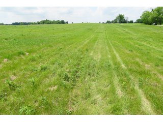 Tract 1 - Real Estate Auction in Central Ohio, 181+/- Acres offered in 4 Tracts in Union County
