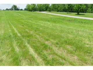 Tract 1 - Real Estate Auction in Central Ohio, 181+/- Acres offered in 4 Tracts in Union County