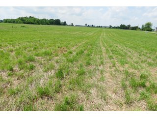 Tract 1 - Real Estate Auction in Central Ohio, 181+/- Acres offered in 4 Tracts in Union County