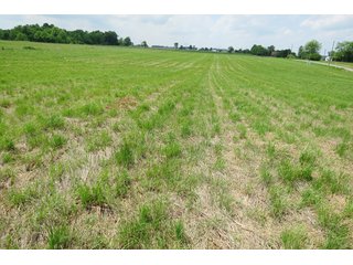 Tract 1 - Real Estate Auction in Central Ohio, 181+/- Acres offered in 4 Tracts in Union County