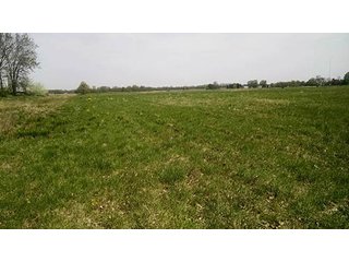 Tract 3 - Real Estate Auction in Central Ohio, 181+/- Acres offered in 4 Tracts in Union County