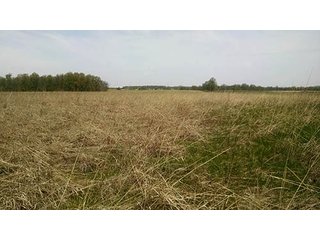 Tract 4 - Real Estate Auction in Central Ohio, 181+/- Acres offered in 4 Tracts in Union County