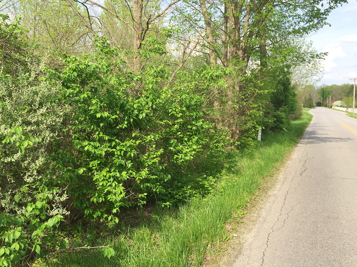 Property photo 1 - LAND AUCTION, 12.5+/- Acres offered in 2 Tracts in Allen County