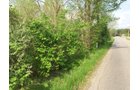 Property photo 1 - LAND AUCTION, 12.5+/- Acres offered in 2 Tracts in Allen County