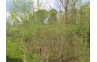 Property photo 2 - LAND AUCTION, 12.5+/- Acres offered in 2 Tracts in Allen County