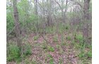 Property photo 4 - LAND AUCTION, 12.5+/- Acres offered in 2 Tracts in Allen County