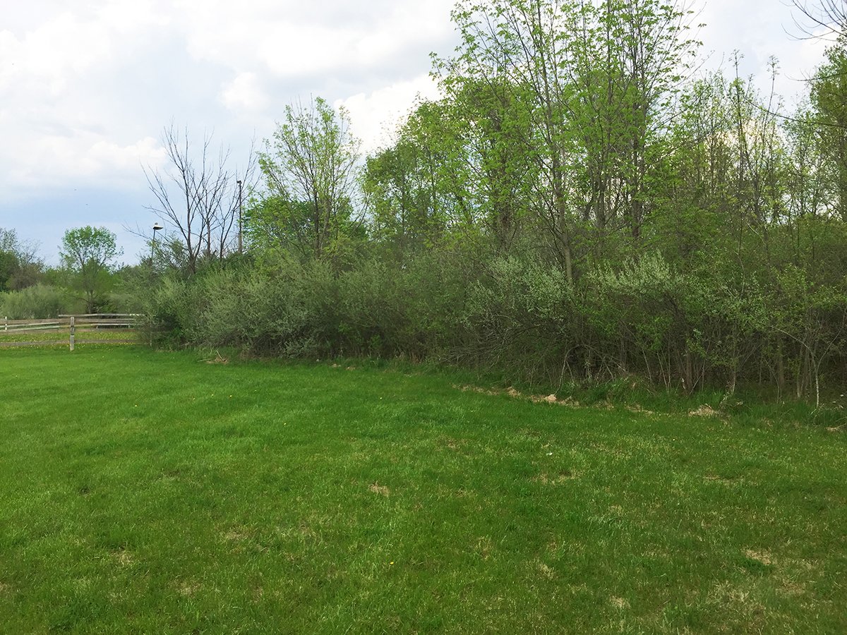 Property photo 7 - LAND AUCTION, 12.5+/- Acres offered in 2 Tracts in Allen County