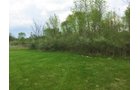 Property photo 7 - LAND AUCTION, 12.5+/- Acres offered in 2 Tracts in Allen County