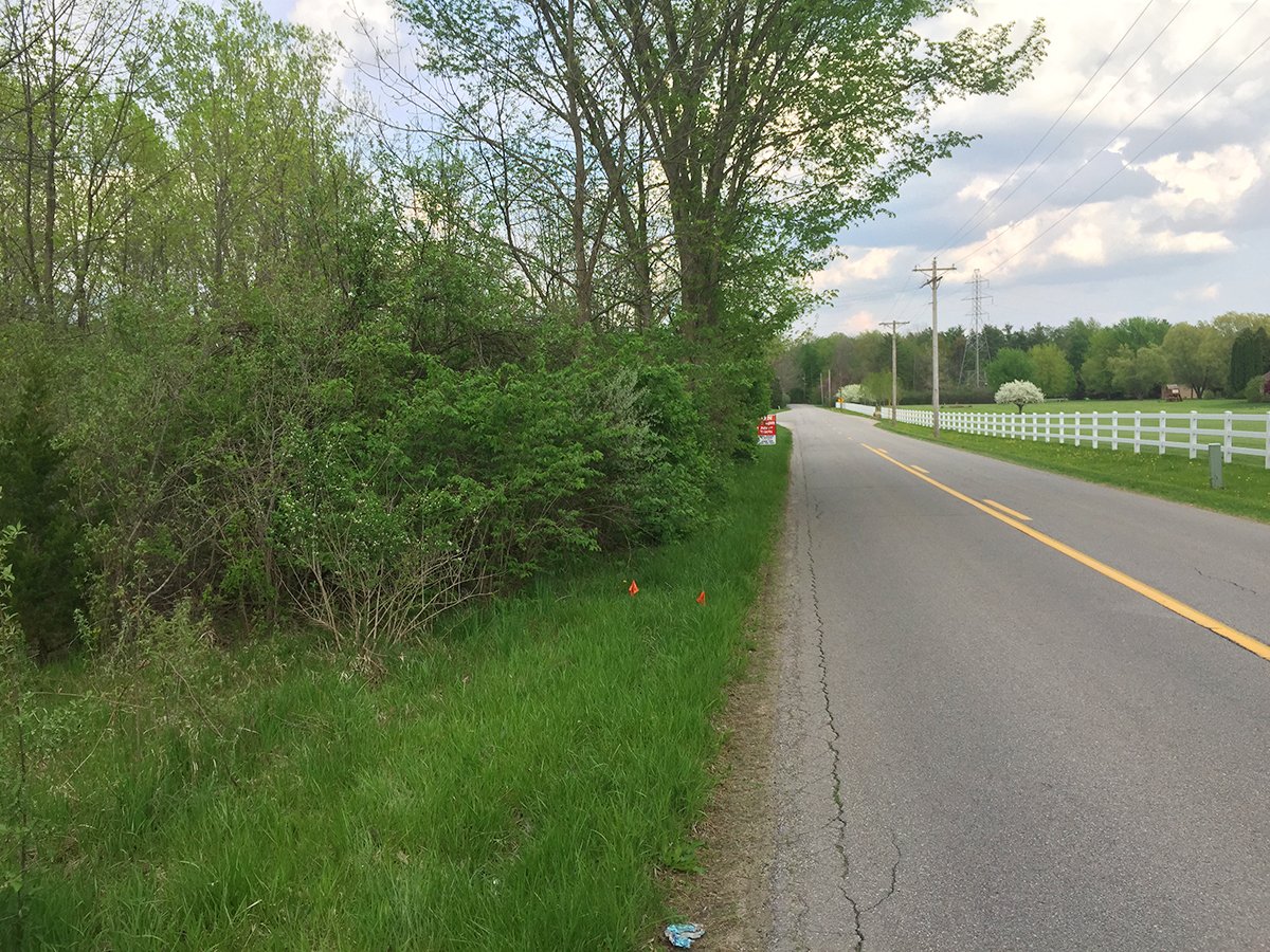 Property photo 8 - LAND AUCTION, 12.5+/- Acres offered in 2 Tracts in Allen County