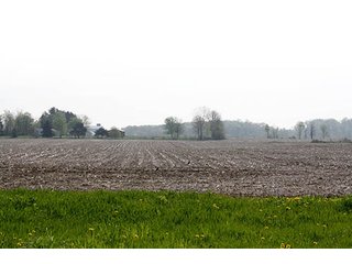 Property photo 2 - REAL ESTATE AUCTION, 81 Acres offered in 3 Tracts in Noble County