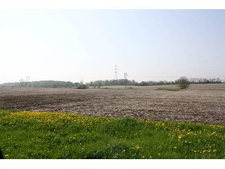 Property photo 3 - REAL ESTATE AUCTION, 81 Acres offered in 3 Tracts in Noble County