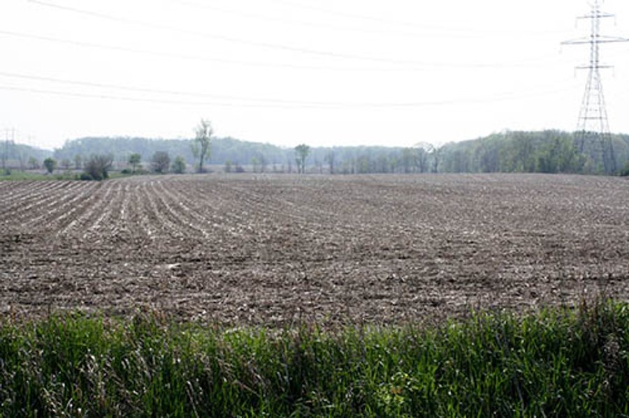 REAL ESTATE AUCTION, 81 Acres offered in 3 Tracts in Noble County