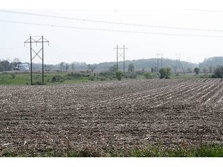 Property photo 1 - REAL ESTATE AUCTION, 81 Acres offered in 3 Tracts in Noble County