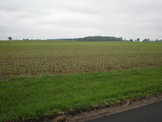 Property photo 1 - LAND AUCTION - 185+/- Acres offered in 6 Tracts in Henry County