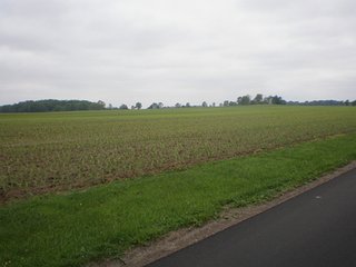 Property photo 2 - LAND AUCTION - 185+/- Acres offered in 6 Tracts in Henry County