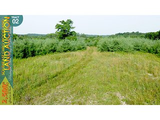 Property photo 8 - WOODLAND AUCTION, SOUTHEAST OHIO WOODLAND - 2,500+/- Acres offered in 66 Tracts in Muskingum, Athens, Meigs & Gallia Counties